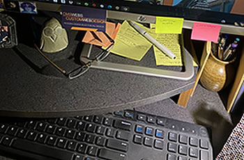 Seattle Webs - Carmine Schulze Web Designer